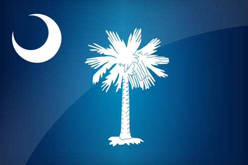 South Carolina Official Flag