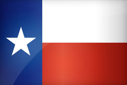 Texas Official Flag